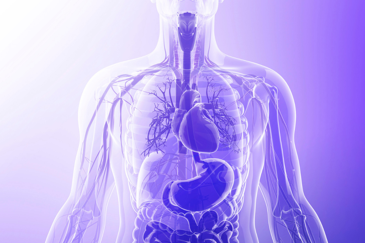 Shared Worth: How Cultures and Eras Align on the Value of Body Parts I openvoicenews.uk
