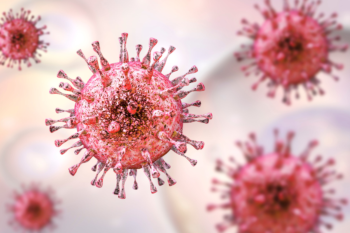Gut Microbe Identified as Potential Solution for Curbing Sugar Cravings