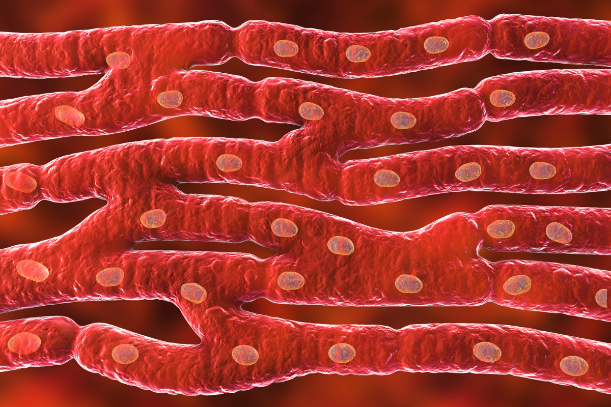 Nanoparticles and MicroRNAs: A Breakthrough in Muscle Stem Cell Research