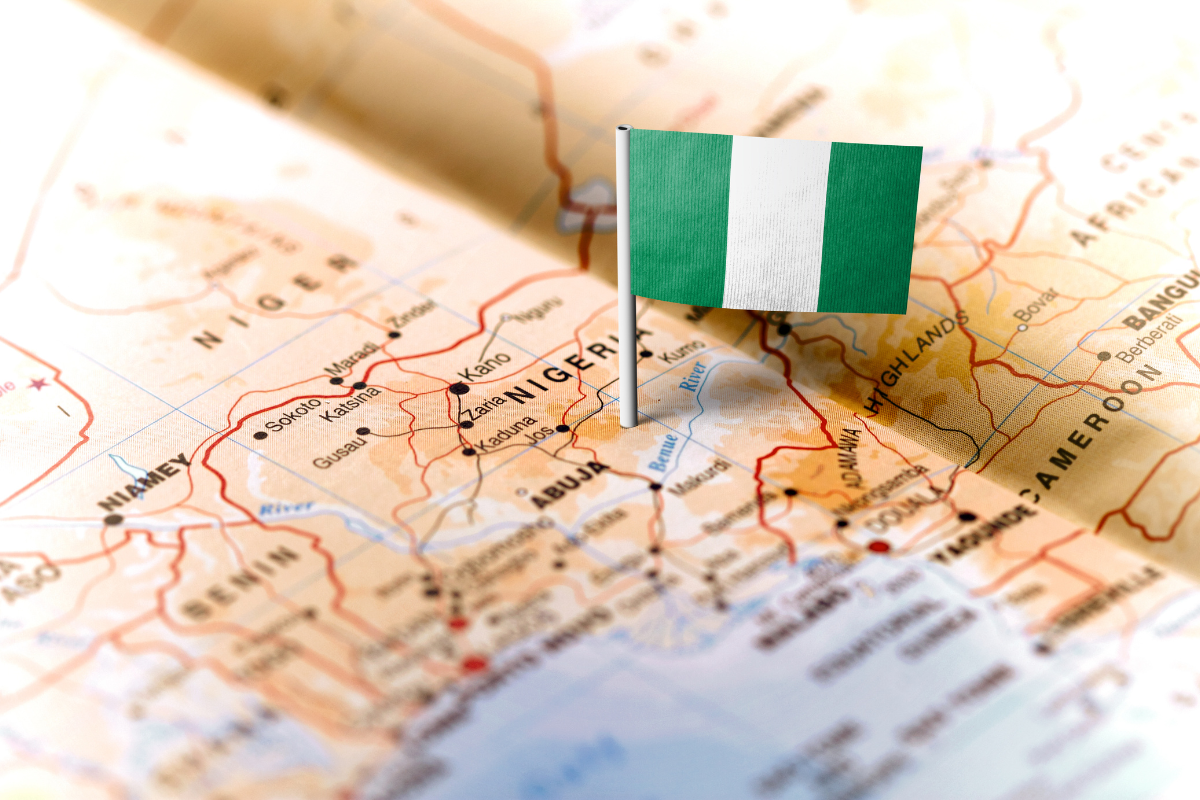 Nigeria’s 2025 Budget: Major Flaws Highlighted Amid Economic Challenges