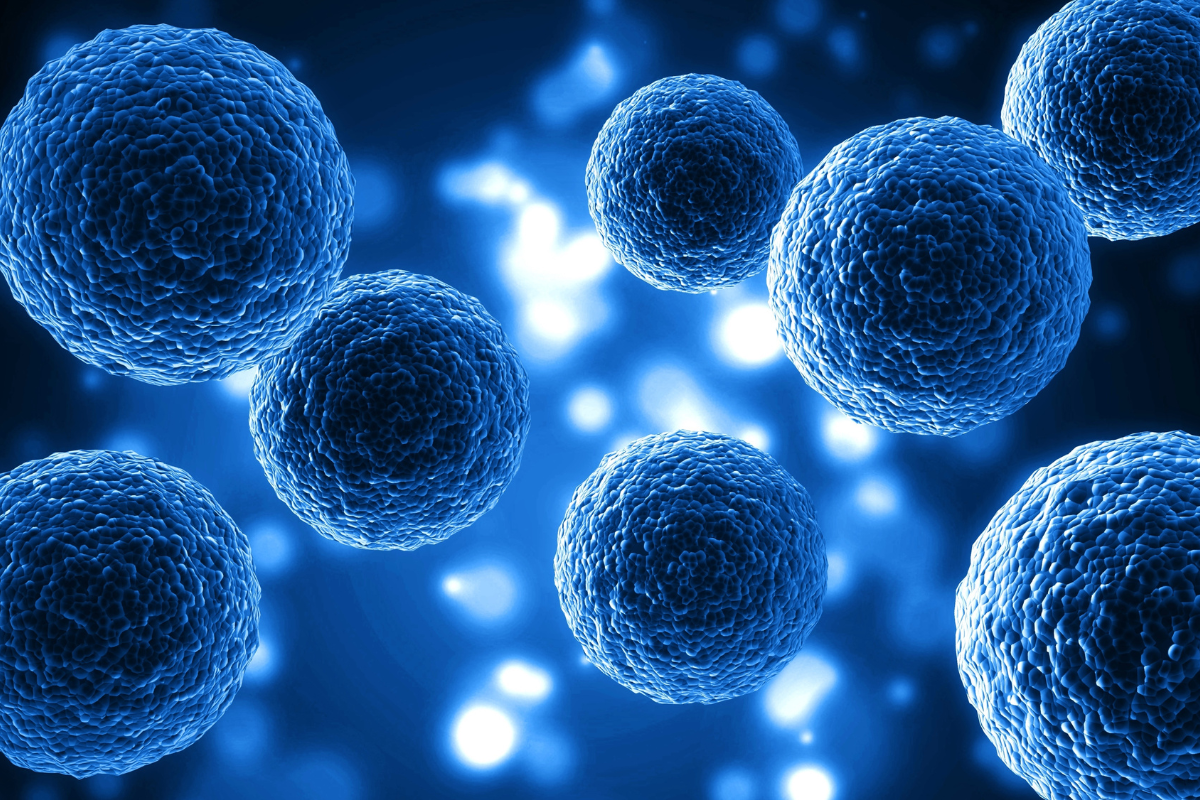 St. Jude Scientists Uncover Mechanism of Retinoic Acid in Targeting Metastatic Neuroblastoma Cells