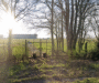 Security Concerns Grow Over Weak Fence at RAF Marham Nuclear Jet Base