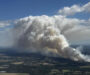 Major Heath Blaze Near Wimborne Sparks Large Firefighter Response